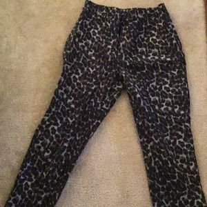 Issac Mizrahi live animal print 24/7 pants size 8